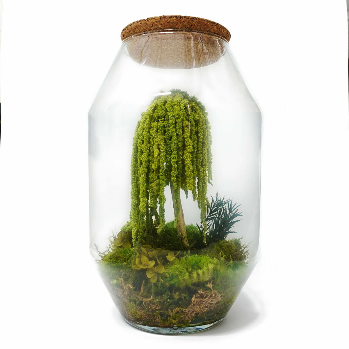 TERRARIUM - immagine 2