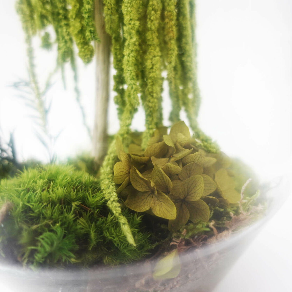 TERRARIUM - immagine 4