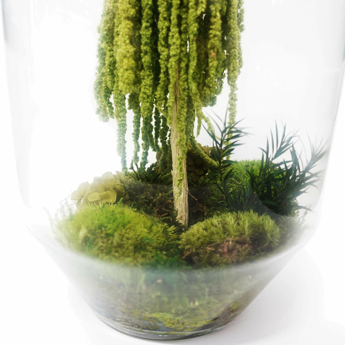 TERRARIUM - immagine 3