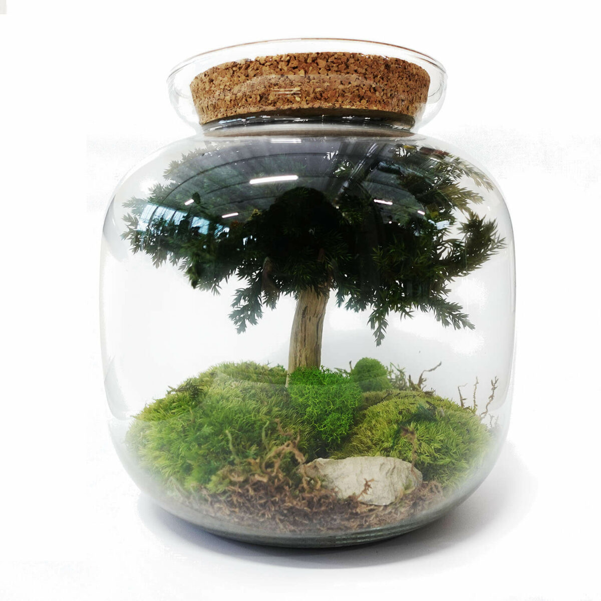 TERRARIUM VETRO